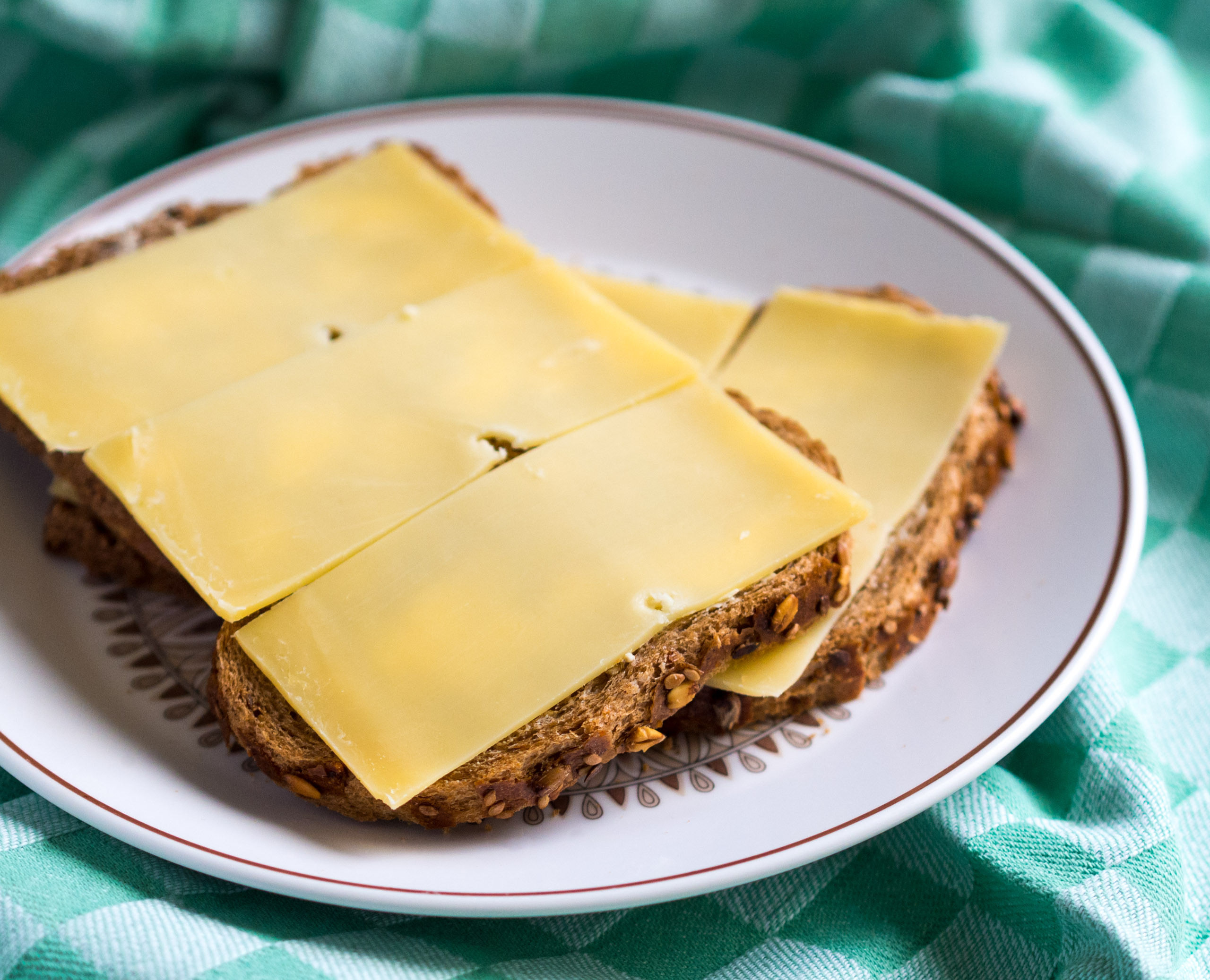 Cheese Sandwich